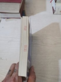 寻龙 大侠赖布衣传奇