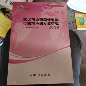 武汉市地理国情监测与城市协调发展研究——2019(大16开)