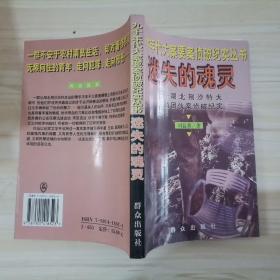 迷失的魂灵--湖北荆沙特大抢劫团伙案侦破纪实