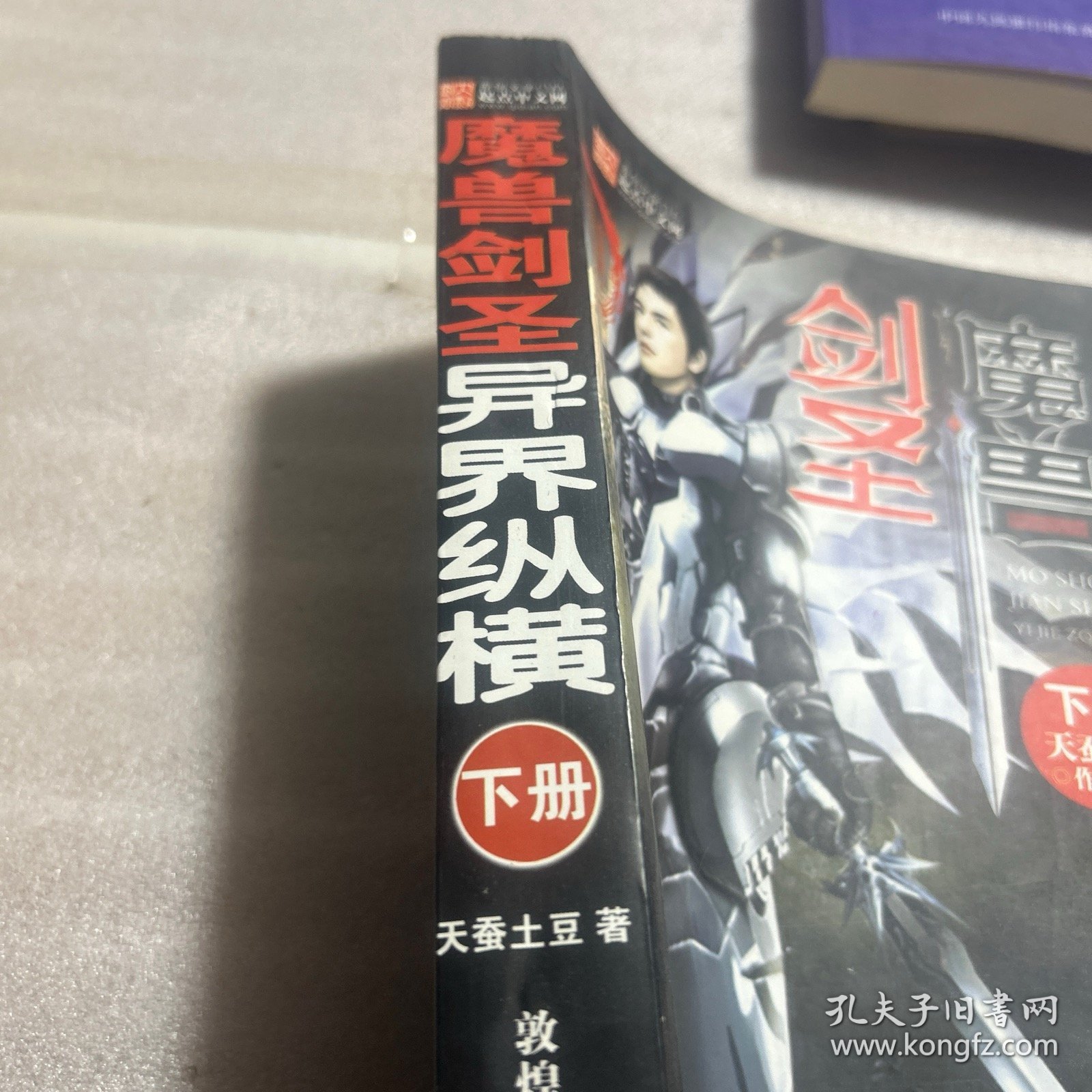 剑胜下册