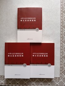 中华人民共和国民法典释义及适用指南