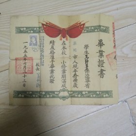 1955年毕业证书