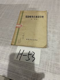 辩论唯物主义是什么