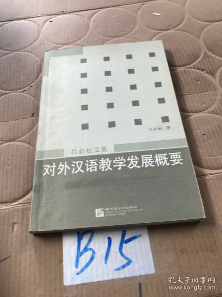 对外汉语教学发展概要