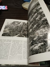 当代著名画家经典丛书：王忠雁