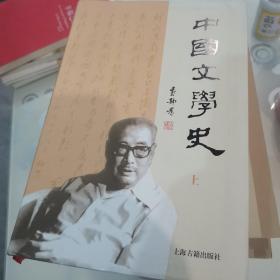 中国文学史（全2册）