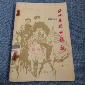 西北高原帅旗飘