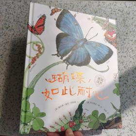 正版 （硬精装）蝴蝶，如此耐心：“美丽成长”科普绘本系列