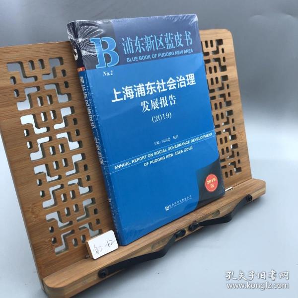 浦东新区蓝皮书：上海浦东社会治理发展报告（2019）