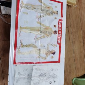 标准经穴部位图（附三张十四经穴，奇穴图）