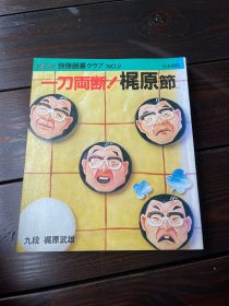 日文原版 围棋俱乐部 新别册2 梶原武雄 日本棋院