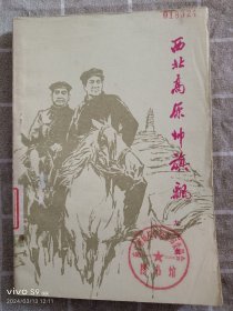 书(纪实):西北高原帅旗飘