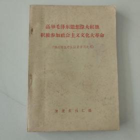 高举毛泽东思想伟大红旗 积极参加社会主义文化大革命