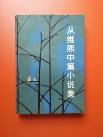 从维熙中篇小说集：49000，柳成荫漂亮封面，含获奖篇《大墙下的白玉兰》，书新