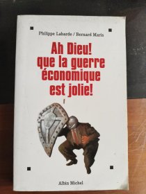 AH DIEU！que la querre economique est jolie! 天哪，经济问题真漂亮！