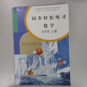 同步轻松练习 化学九年级上册 人教版