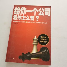 给你一个公司看你怎么管？