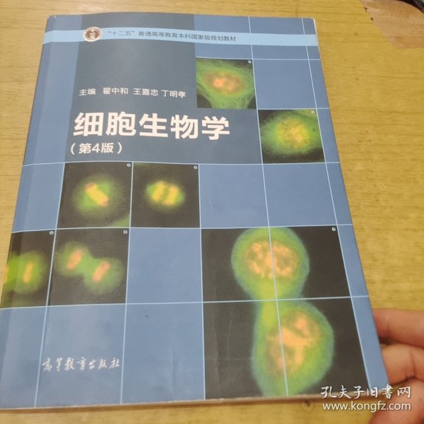 细胞生物学（第4版）