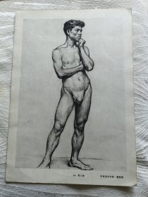 中央美术学院詹建俊80年代作品（男人体）画页