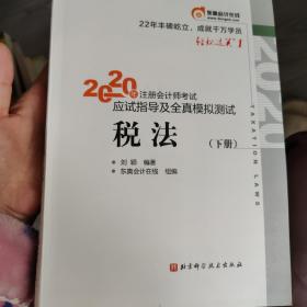 轻松过关1 2020年注册会计师考试应试指导及全真模拟测试 税法