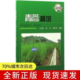 青蒿栽培