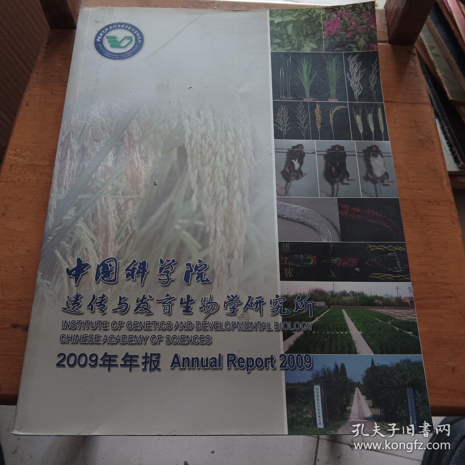 中国科学院遗传与发育生物学研究所2009年年报