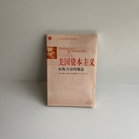 美国资本主义：抗衡力量的概念