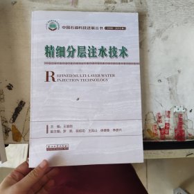 精细分层注水技术