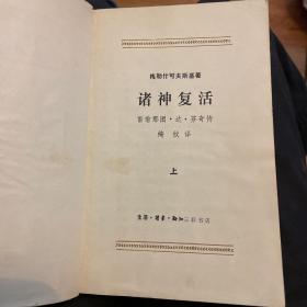 诸神复活（全二册）：雷翁那图·达·芬奇传（上）老版
