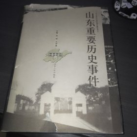 山东重要历史事件 南京民国政府时期