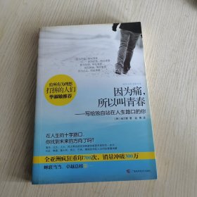 因为痛，所以叫青春：写给独自站在人生路口的你