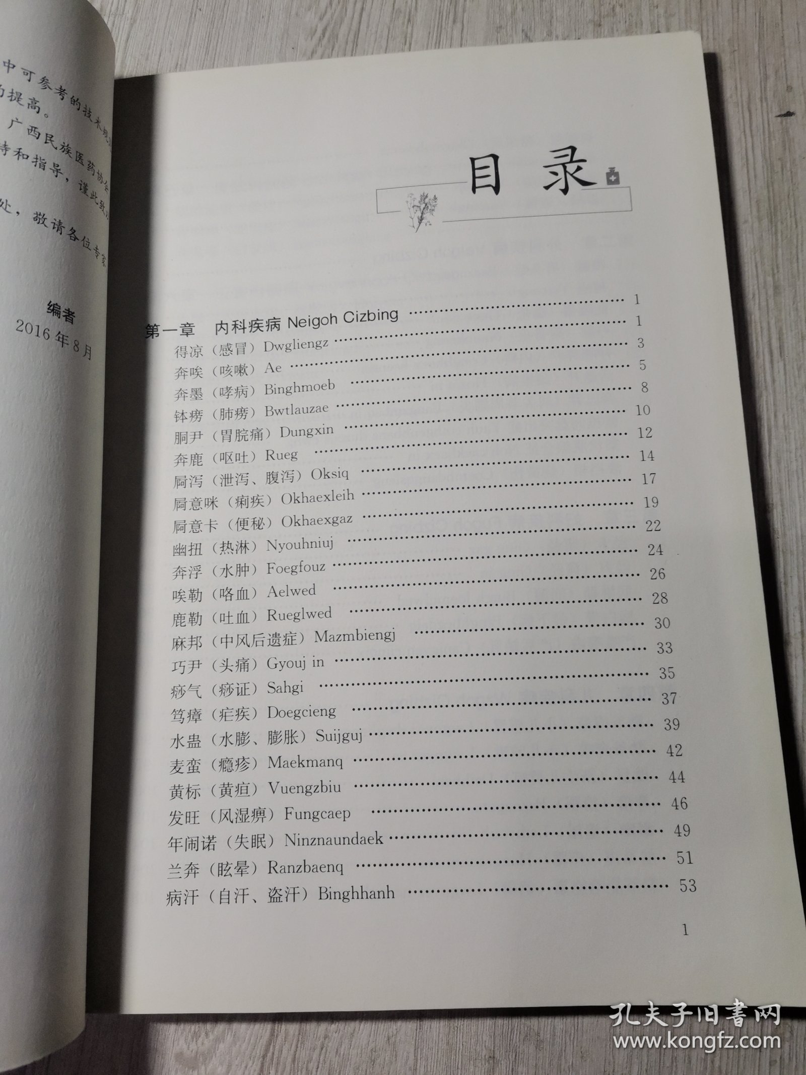 壮医病证诊疗规范/中国东盟传统医药文库
