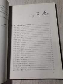 壮医病证诊疗规范/中国东盟传统医药文库