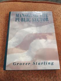 MANAGING THE PUBLIC SECTOR