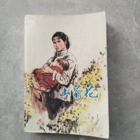 山菊花上
