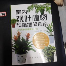 室内观叶植物种植摆放指南