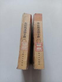 布拉热洛纳子爵（中下）