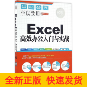 Excel高效办公入门与实战