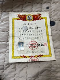 1962年，上海市凤阳路小学毕业证一张