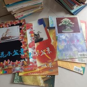 花木盆景——【1995.4.5.6】【1996.4.5.6】【1998.1.2】共八本合售