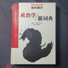 当代西方政治学新词典