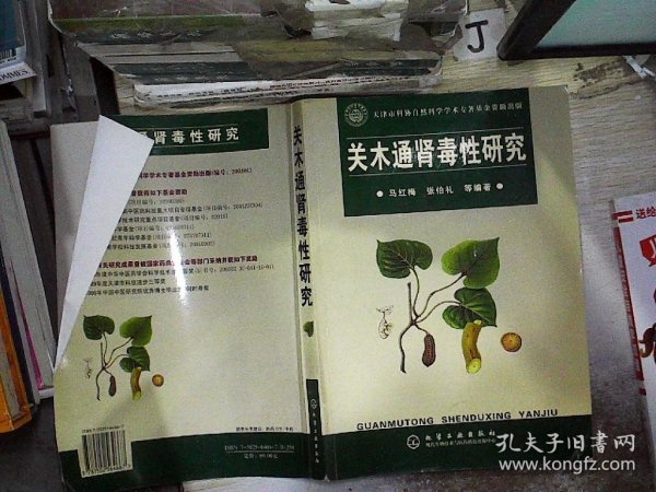 关木通肾毒性研究