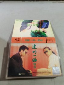 磁带 达明一 （有词）