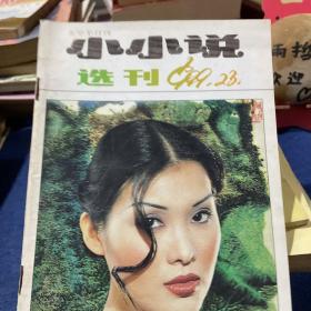 小小说选刊