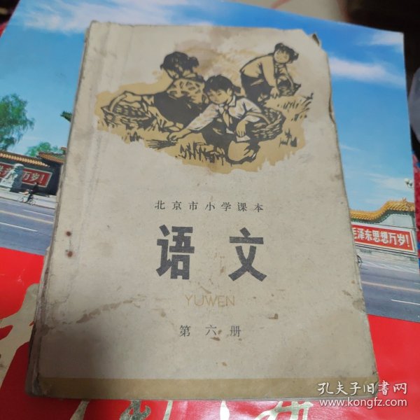 北京市小学课本语文第六册