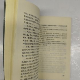 大盗“燕子”李三传奇