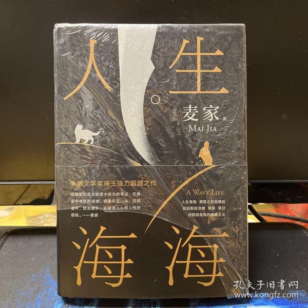 麦家：人生海海（茅盾文学奖得主麦家2019年强力之作）