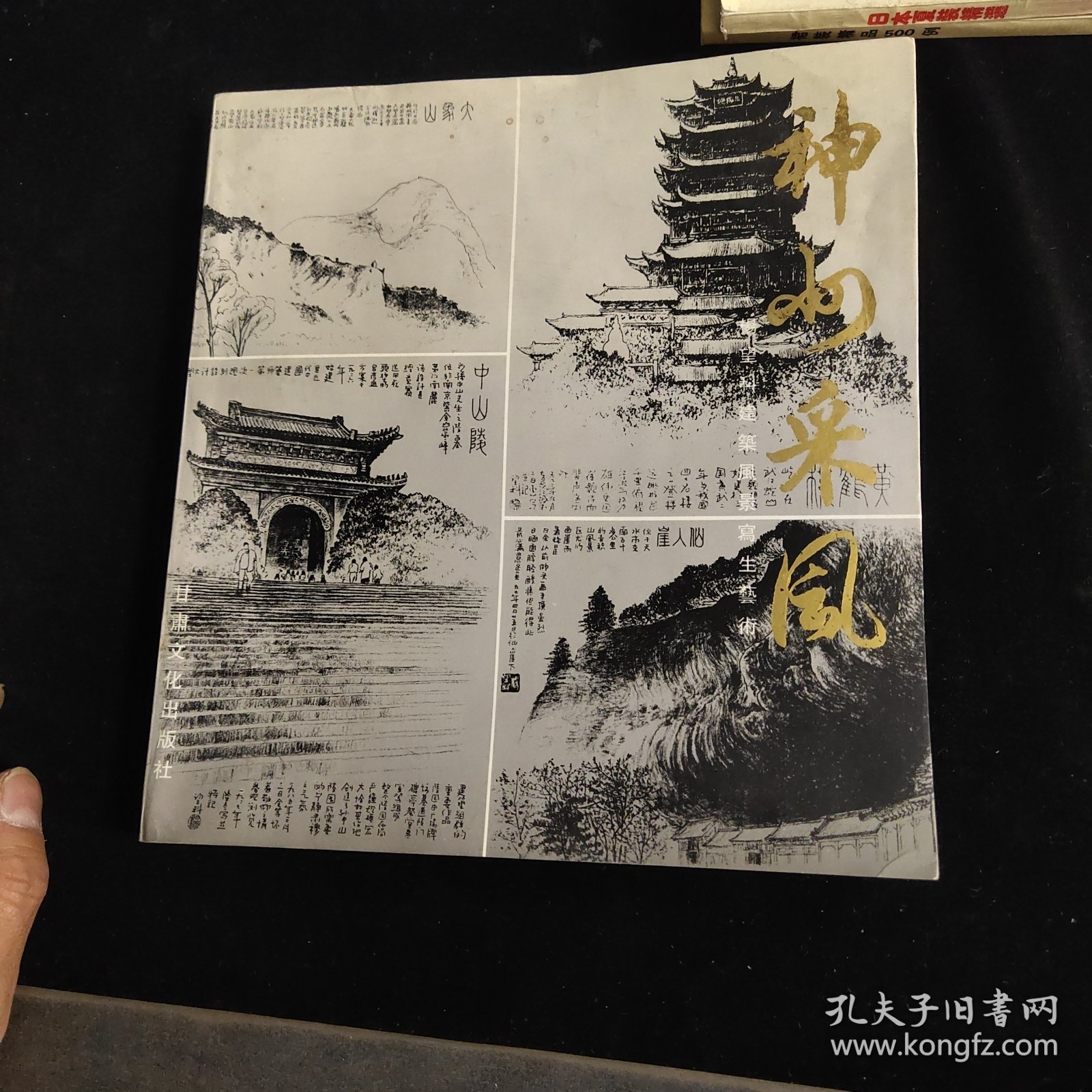 神州采风:杨望科建筑风景写生艺术