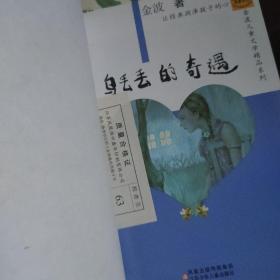 乌丢丢的奇遇：金波儿童文学精品系列