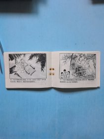 松江歼匪记